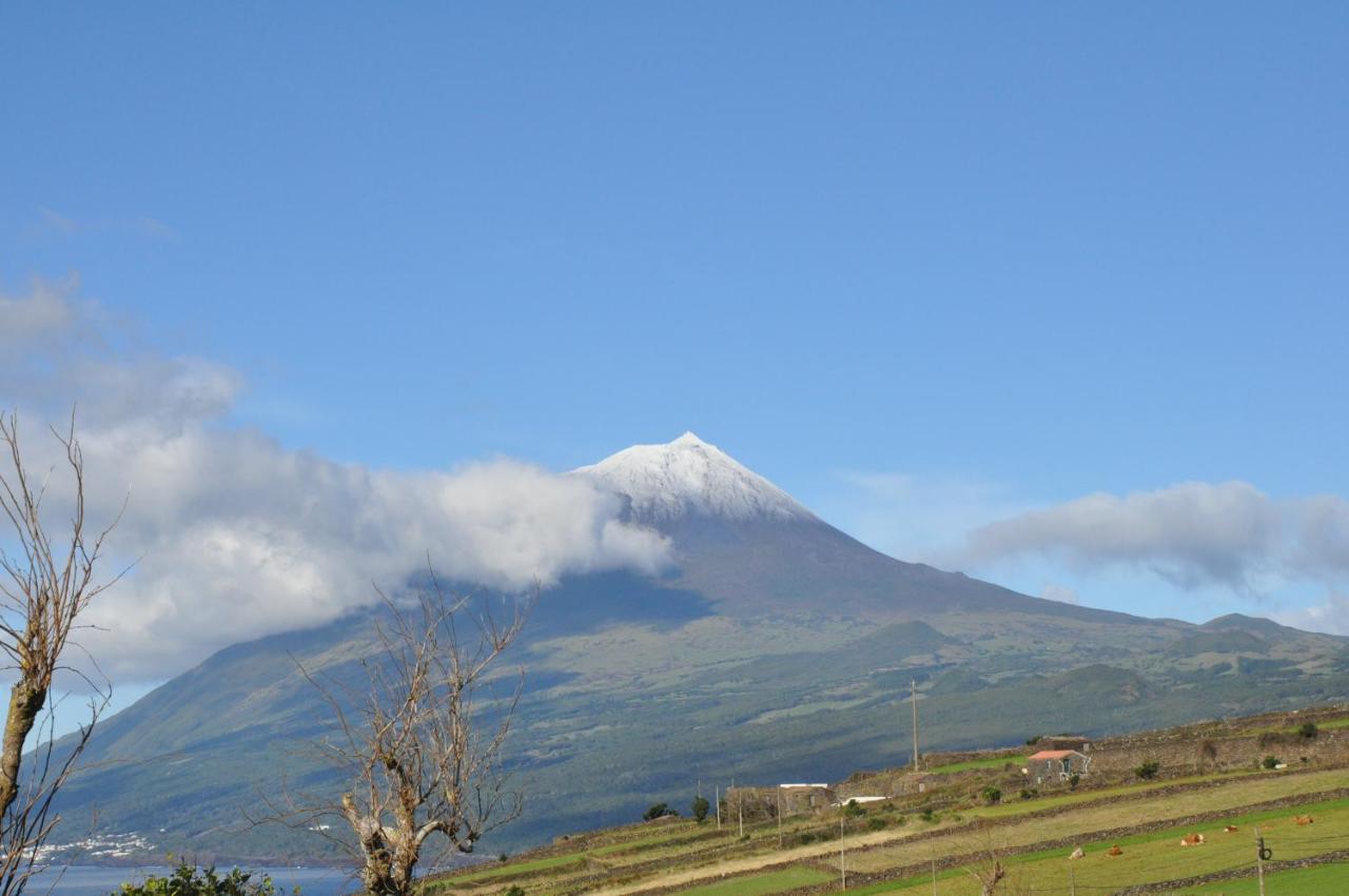Casa Da Abrotea Βίλα Lajes do Pico Εξωτερικό φωτογραφία