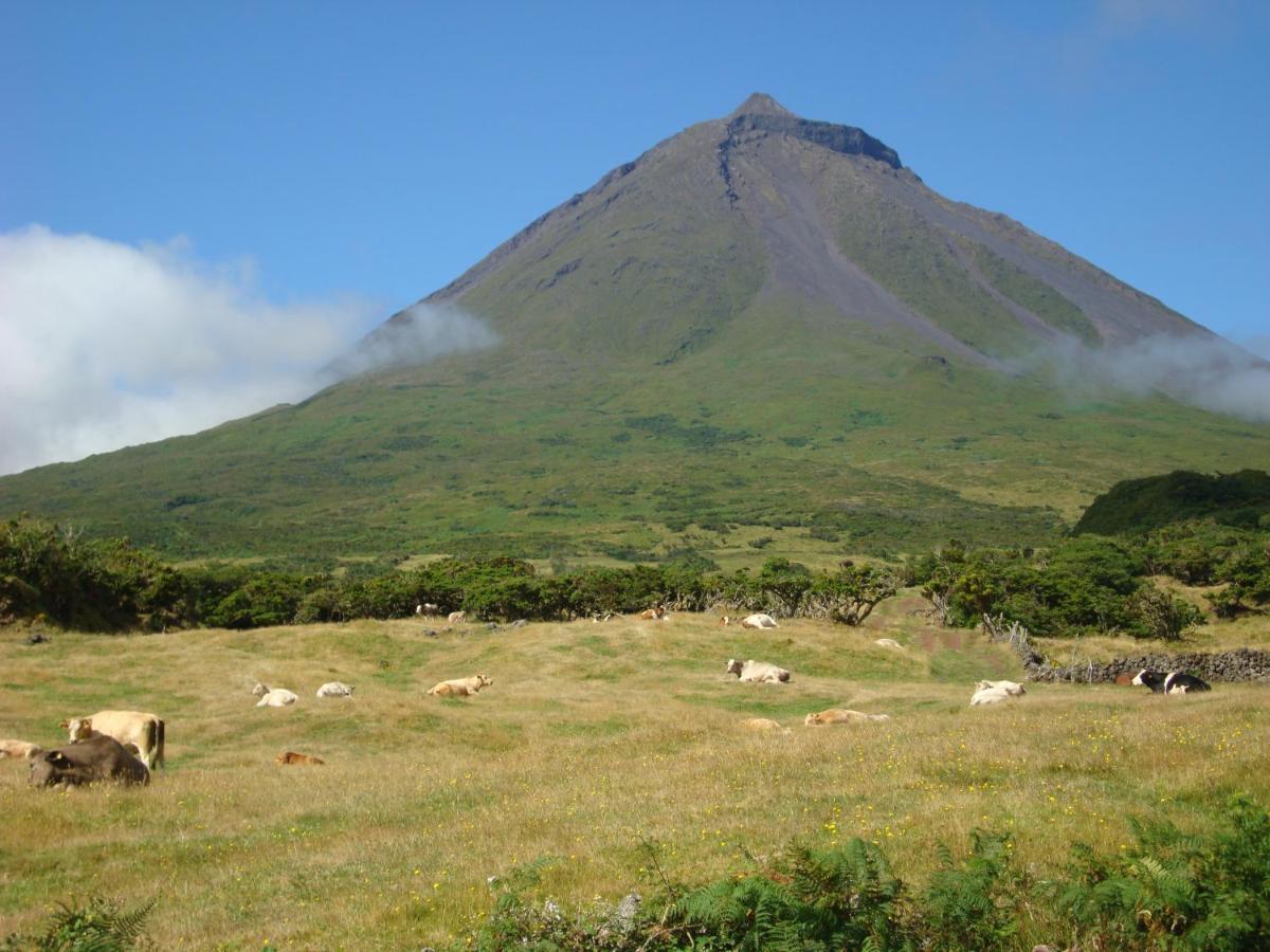 Casa Da Abrotea Βίλα Lajes do Pico Εξωτερικό φωτογραφία